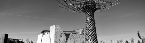 Recommended read: "Una stima realistica dell’impatto economico dei visitatori dell’Expo 2015" (J. Massiani e G. Pizziali)